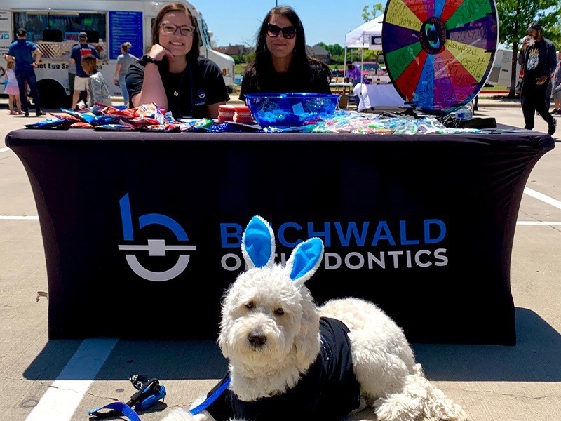 Dog in light blue bunny ears at table for Buchwald Orthodontics